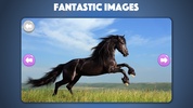 Horse and Pony jigsaw puzzles screenshot 5