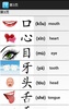 Chinese Easy Words screenshot 5