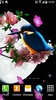 Sakura and Bird Live Wallpaper screenshot 6