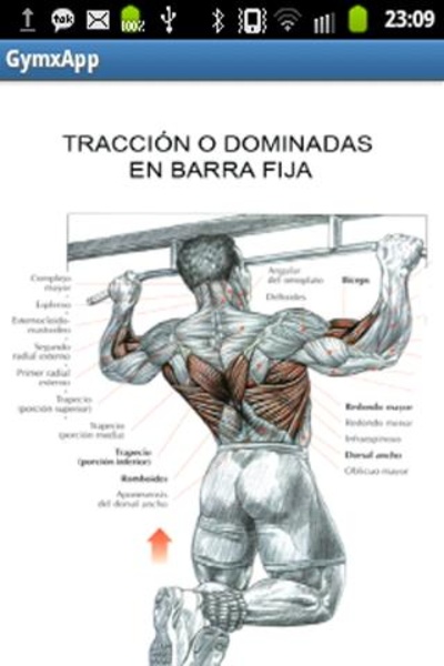 GymxApp - Preview 3
