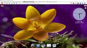 SSuite NetSurfer Portable screenshot 6