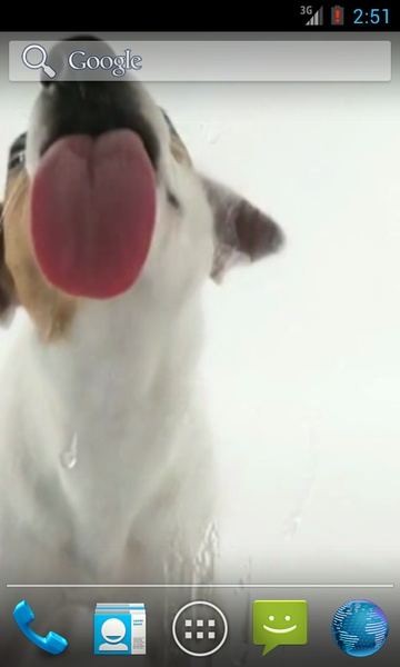 Dog Licks Screen Wallpaper - Preview 3
