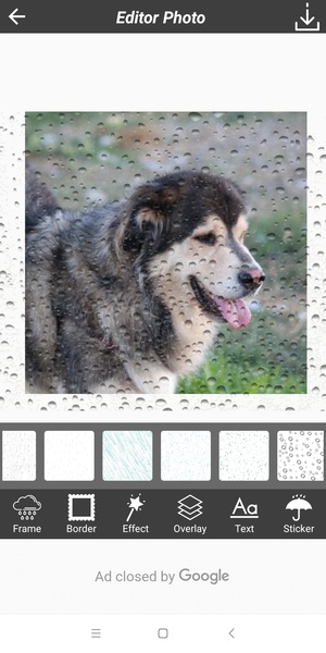 Rain Photography - Preview 4