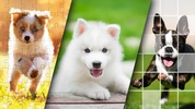 Lovely Puppy Puzzle Kit & Wallpapers screenshot 4