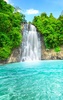 Wild Waterfalls Live Wallpaper screenshot 3