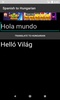 Spanish to Hungarian Translator screenshot 4