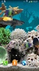 3D Aquarium Live Wallpaper screenshot 4