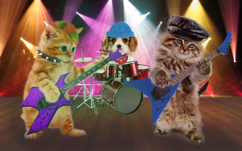 Funny Talking Cats - Preview 7