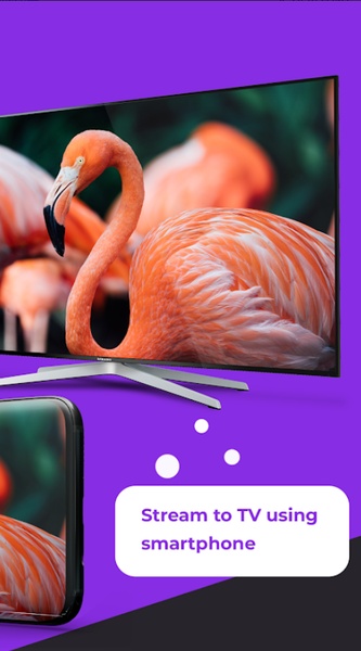 Roku Remote - Preview 4