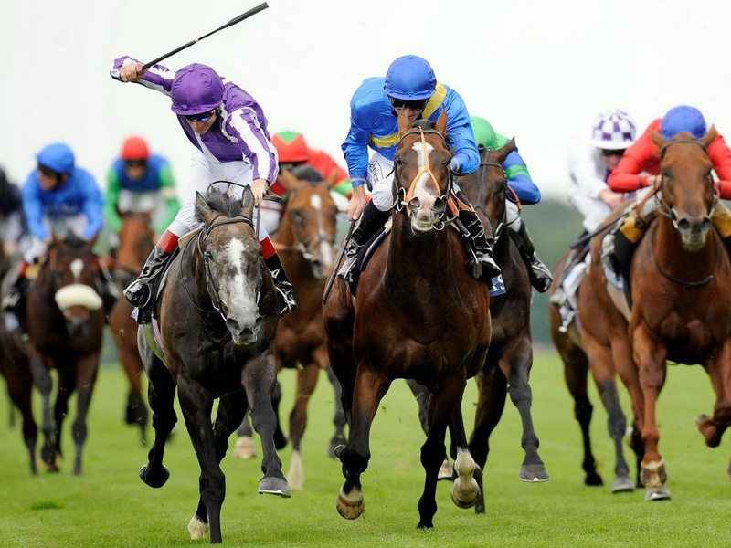 HorseRacing Jigsaw - Preview 2