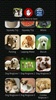 perro y gato ringtones y sonidos screenshot 3