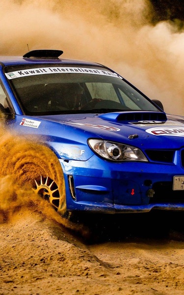 Rally Cars Game - Preview 4