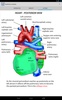 Anatomy Lectures screenshot 6