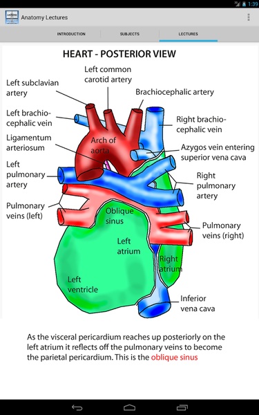 Anatomy Lectures - Preview 6