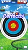 Archery Elite screenshot 16