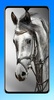 Horse Wallpaper 4K screenshot 10