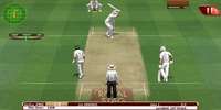 Real Cricket Test Match Edition screenshot 15