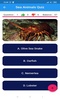 Sea Animals Quiz screenshot 4