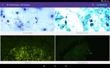 Merck Microscopy App screenshot 3