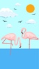 Charming Flamingo — APUS Live screenshot 2