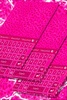 Keypad Pink Cheetah screenshot 5