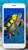 Tortoises Sea screenshot 2
