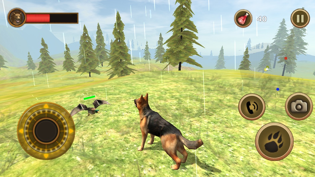 Wild Dog Survival Simulator - Preview 2