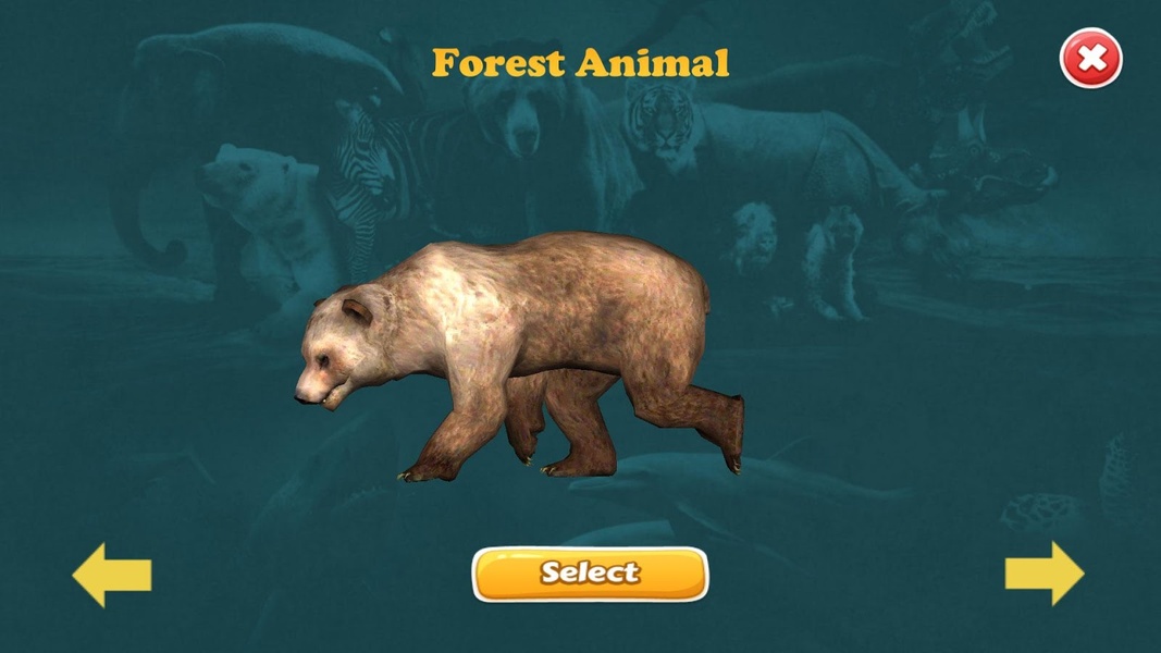 Animal Discovery - Preview 3