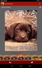 Greeting Cards screenshot 6