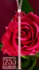 Rose Theme Zipper Lock Screen screenshot 1