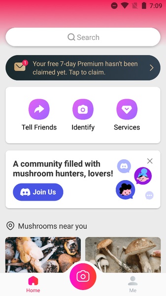 Picture Mushroom - Preview 4