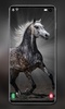 Horse Wallpapers screenshot 2