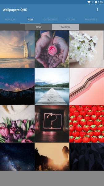 Wallpapers QHD - Preview 1