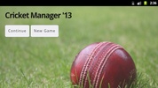 Cricket Manager 13 screenshot 6