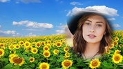 sunflower photo frames editor screenshot 8