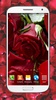 लाल गुलाबों लाइव वॉलपेपर है HD screenshot 4