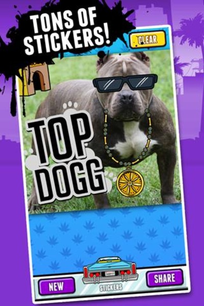 Snoopify - Preview 1