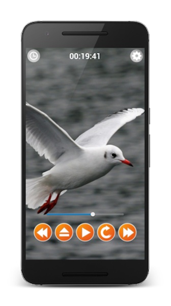 Birds Sounds Relax and Sleep - Preview 1