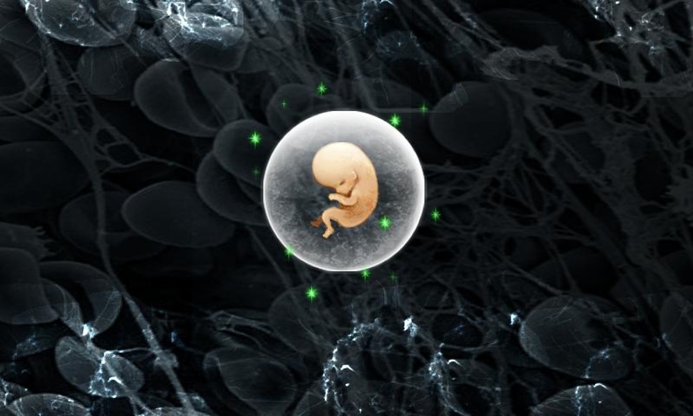 Sperm Wars - Preview 1
