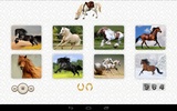 Horses Jigsaw Puzzles screenshot 2