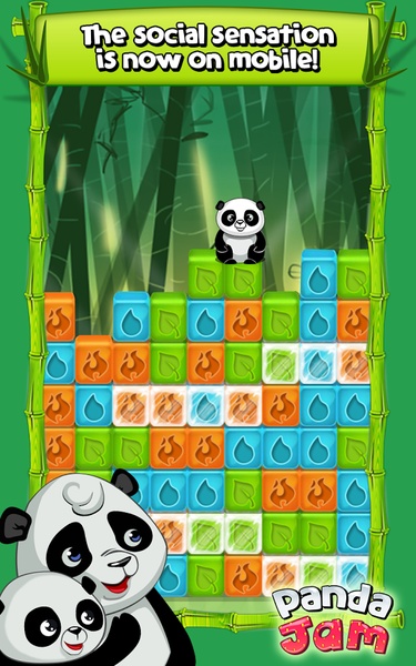Panda Jam - Preview 10