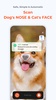 Petnow - Find Pet Easier screenshot 4