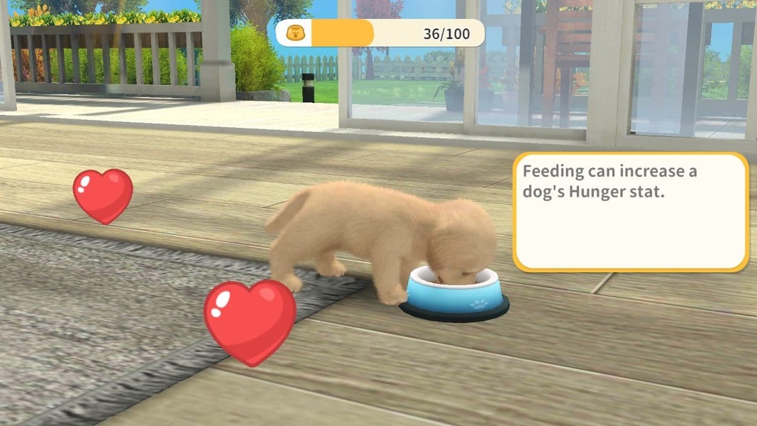 My Dog - Preview 3
