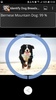 Identify Dog Breeds Pro screenshot 5