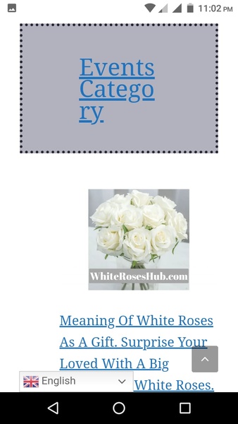 WhiteRosesHub - Preview 2