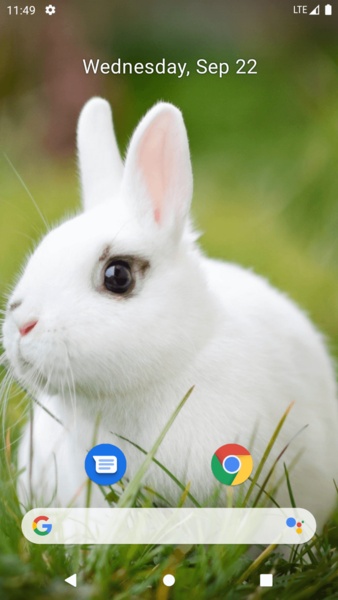 Rabbit Wallpaper - Preview 3