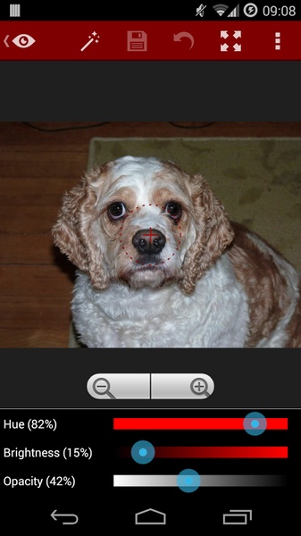 Red Eye Removal (Free) - Preview 1