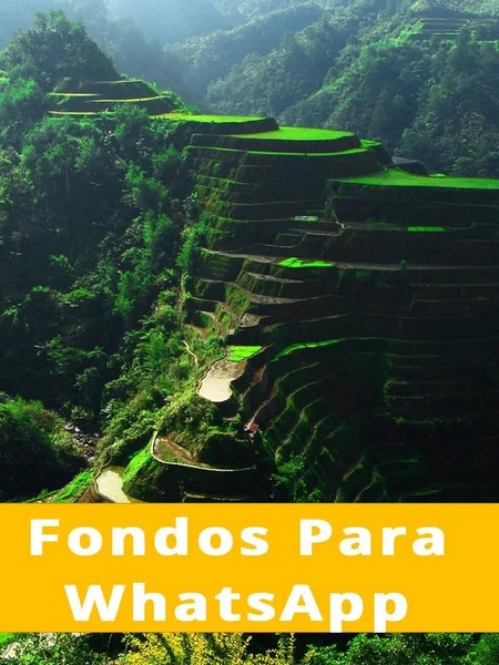 Fondos Para WhatsApp - Preview 8