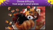 Jigsaw Puzzles World New screenshot 3