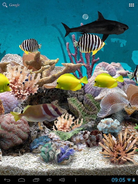 3D Aquarium Live Wallpaper - Preview 2